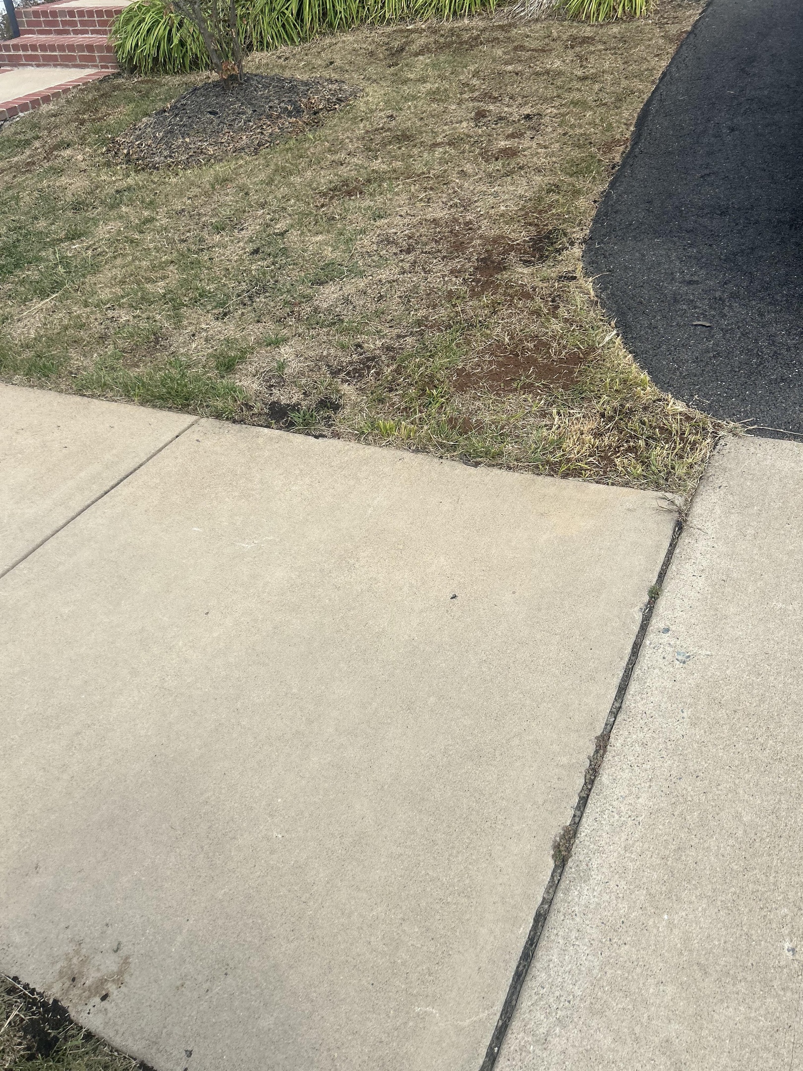 SightGlow Safety On Demand organic lawn restoration project in Quantico, Virginia, using certified organic overseeding and soil improvement to control crabgrass naturally.