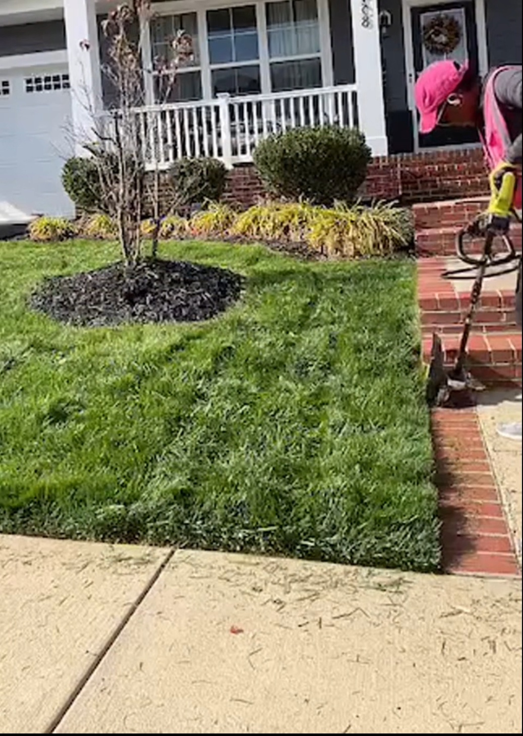 Early results from organic lawn restoration showing thicker turfgrass growth after compost topdressing and biostimulant soil treatments in a Virginia Front yard