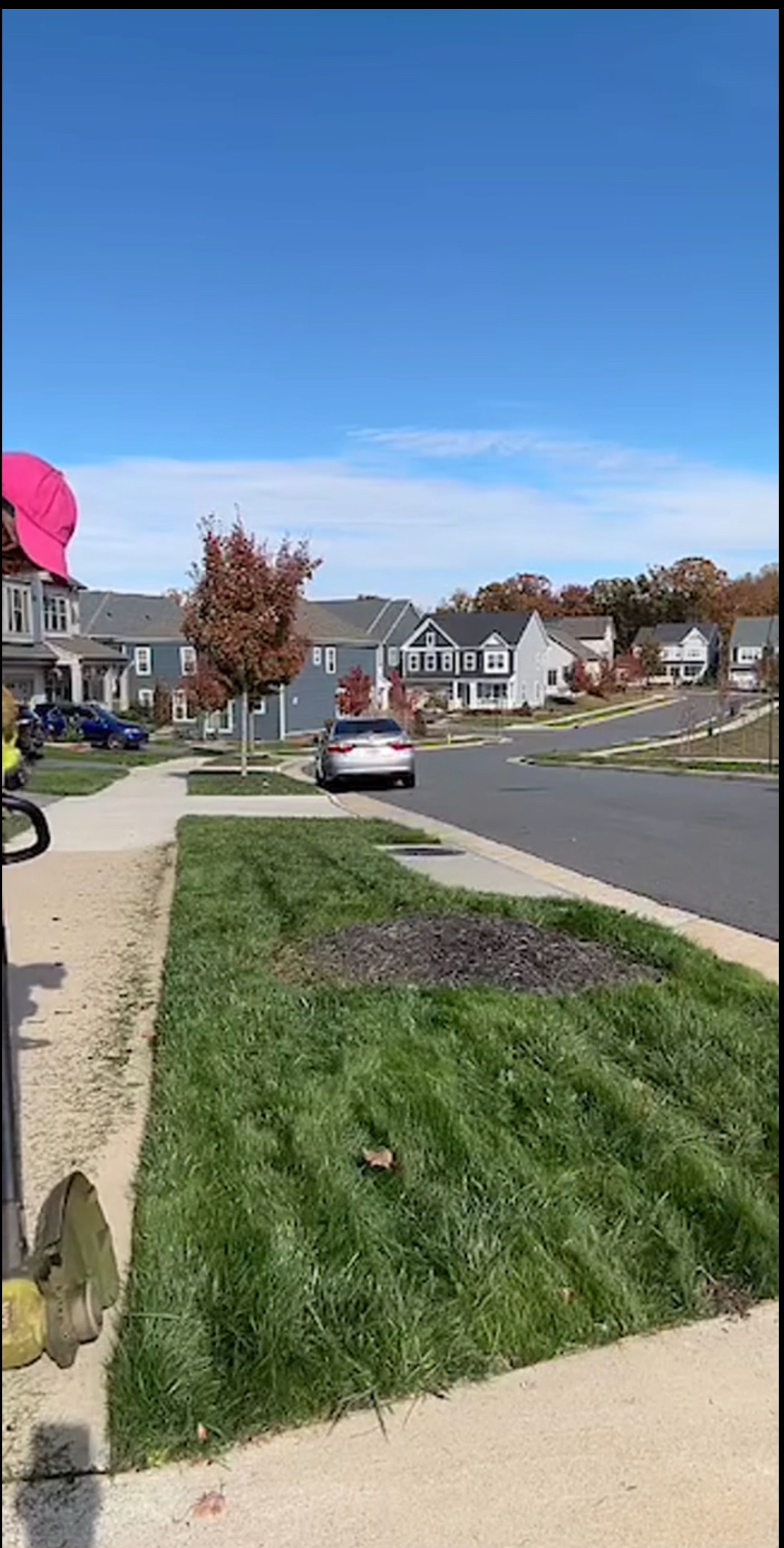 Completed organic turf rehabilitation project showing thick, healthy grass achieved without synthetic herbicides, using compost, humic acids, and certified organic seed.